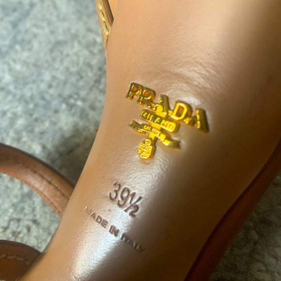 PradaV - Picture 3 of 3